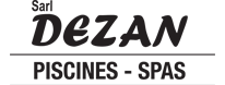 Logo Dezan